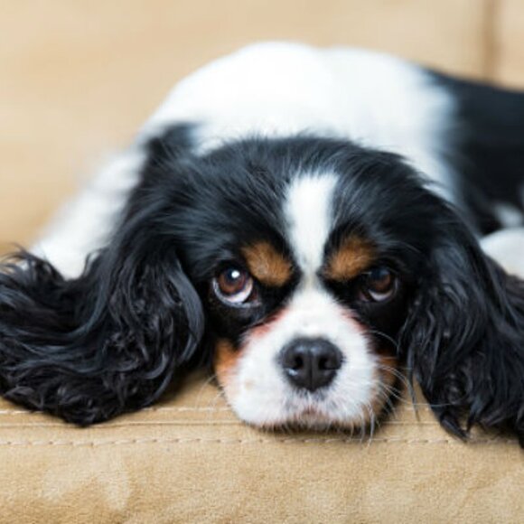 Sallie!!!! - Picture 1 of 1